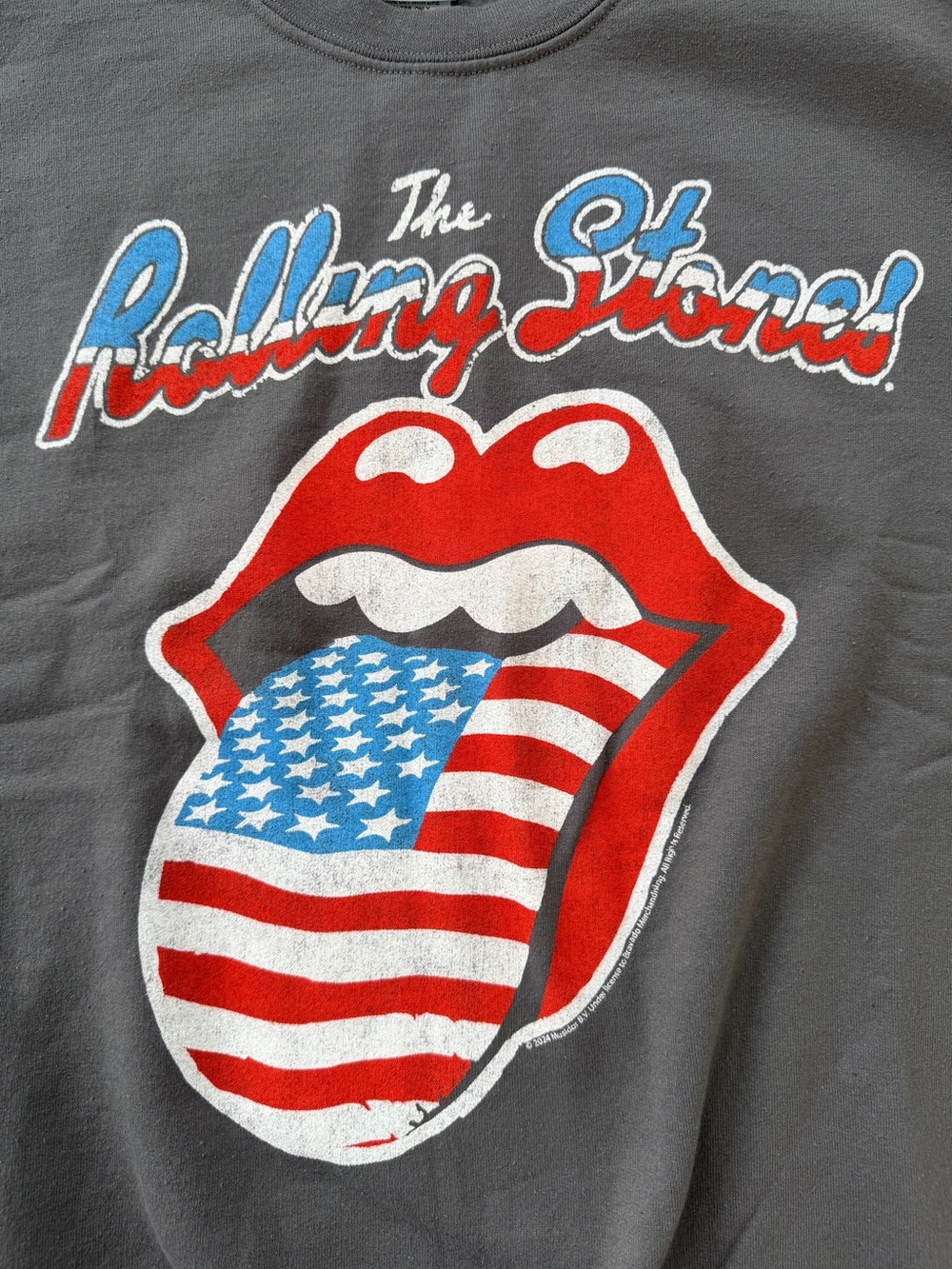 Junk Food NWT The Rolling Stones America 78 Sweatshirt M